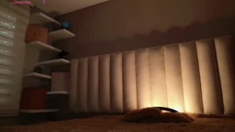     online show from 11-14-25, 12:04