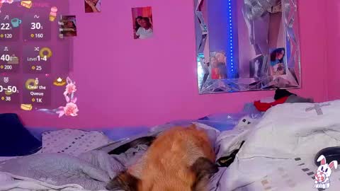 Snapshot of mejialuisa0142 chatting on 03-02-25, 06:16 Luisa online show from 03-02-25, 06:16