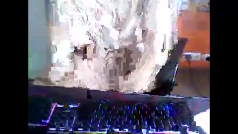 meks5544 online show from 04-12-26, 11:15