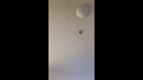 Snapshot of mel_hart_jr chatting on 03-25-26, 07:47 mel_hart_jr online show from 03-25-26, 07:47