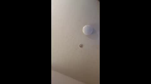 Snapshot of mel_hart_jr chatting on 05-18-26, 07:09 mel_hart_jr online show from 05-18-26, 07:09