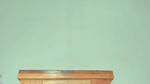 Snapshot of melania_browis chatting on 01-07-25, 01:03 Melania online show from 01-07-25, 01:03