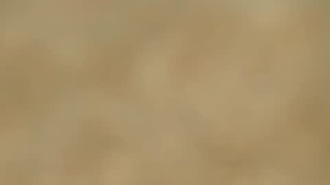 Snapshot of melania_browis chatting on 01-15-25, 02:46 Melania online show from 01-15-25, 02:46