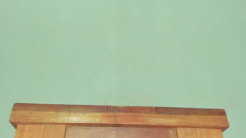 Snapshot of melania_browis chatting on 01-30-25, 03:29 Melania online show from 01-30-25, 03:29
