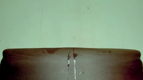 Melania online show from 04-12-26, 04:01