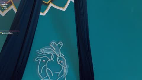 Melany online show from 01-22-25, 02:56