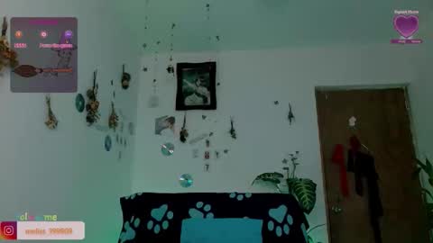 Snapshot of meliss1 chatting on 05-03-26, 05:13 melissa online show from 05-03-26, 05:13