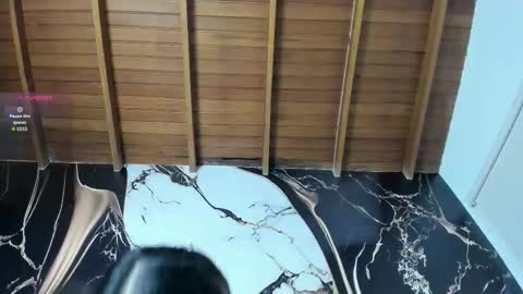  M e l i s s a  online show from 01-15-26, 07:28