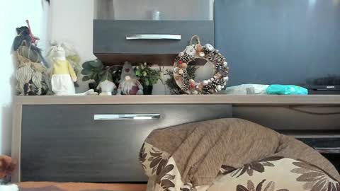 MellyMell  online show from 01-08-25, 10:58