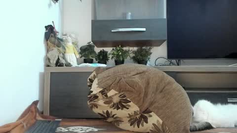 MellyMell  online show from 03-05-25, 11:05