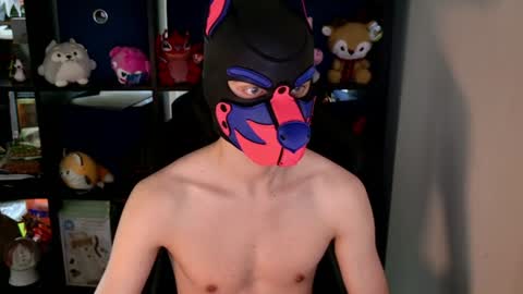 MellPUP online show from 06-08-26, 08:42