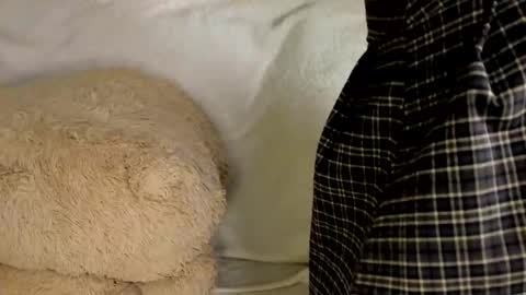 MelMooon online show from 03-09-26, 07:40