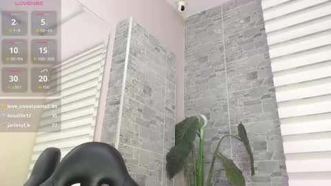     online show from 06-07-26, 11:25
