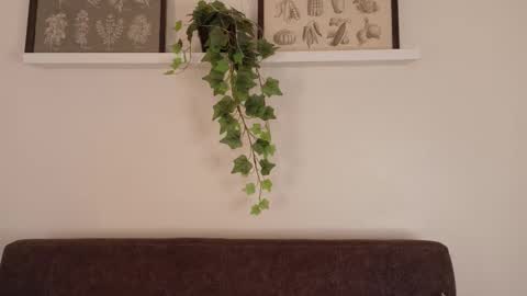  Memphis Williams  online show from 02-15-26, 12:03