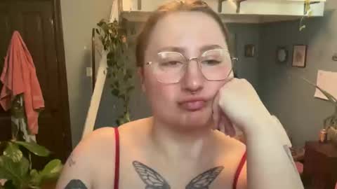 meowmaxx online show from 04-08-26, 08:09