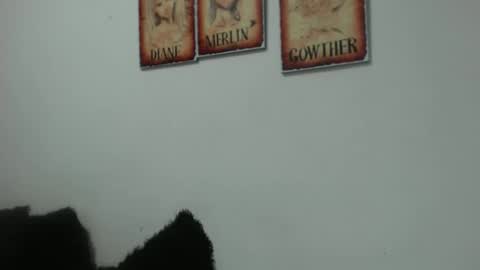 Snapshot of merlina_t chatting on 05-22-26, 06:57 merlina_t online show from 05-22-26, 06:57
