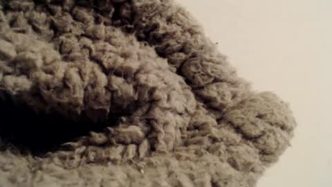 Mauro online show from 02-01-25, 05:37