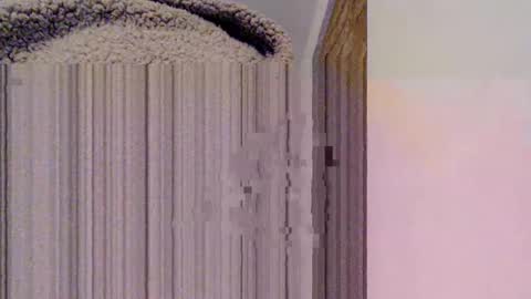 Mauro online show from 02-15-25, 10:52