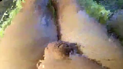 Wade online show from 01-08-25, 01:42