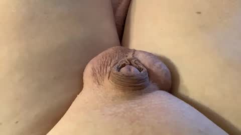 Wade online show from 01-28-25, 07:21