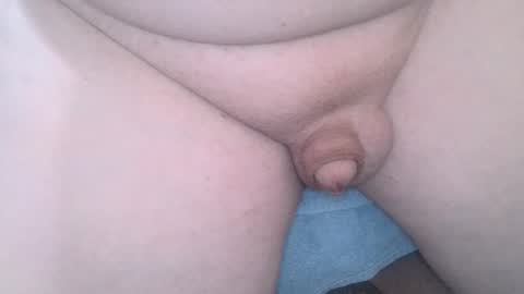 Wade online show from 02-02-25, 07:41