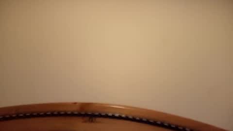 Snapshot of mhorny5 chatting on 09-14-25, 08:41 mhorny5 online show from 09-14-25, 08:41