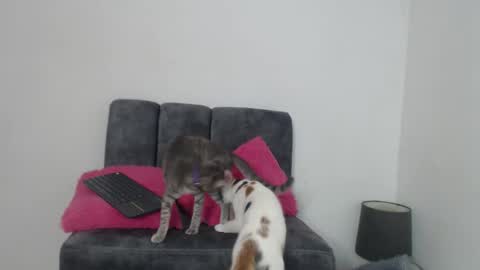 M I A online show from 11-13-25, 11:20