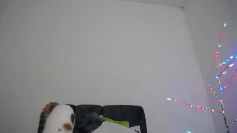 M I A online show from 12-18-25, 10:32