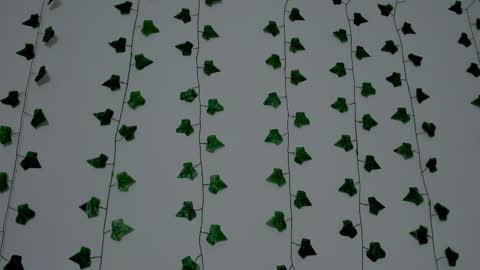 MIA online show from 12-20-25, 09:33