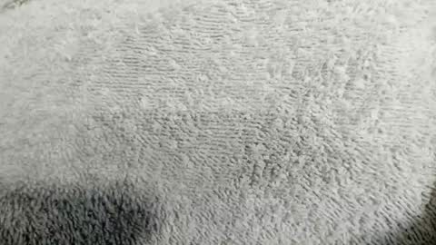 Mia online show from 04-20-26, 02:14