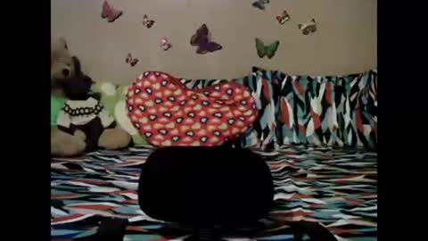 Snapshot of mia_rein chatting on 03-11-25, 08:09 mia_rein online show from 03-11-25, 08:09