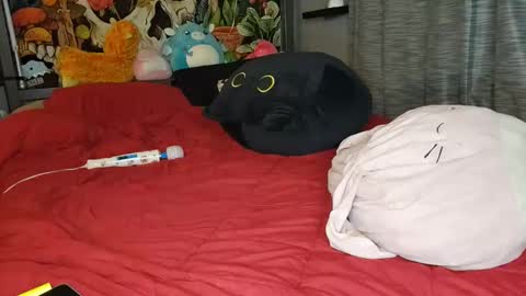 Mia Love online show from 01-10-25, 11:11