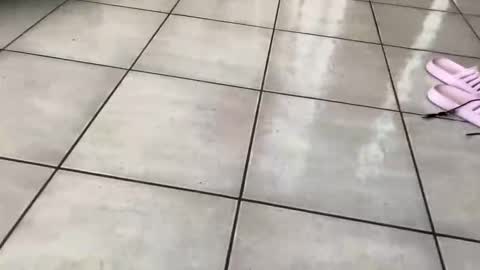 MiauzMiauz online show from 04-30-26, 02:34