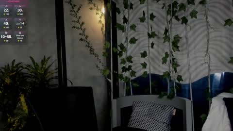 Mia online show from 12-29-24, 03:22