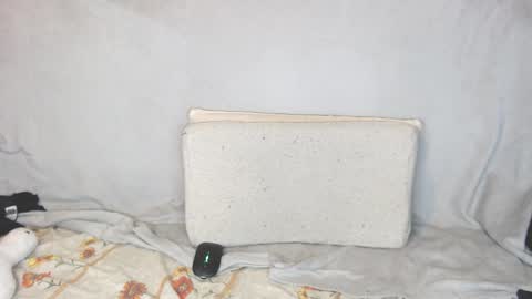 Snapshot of michael_danymans chatting on 10-23-25, 11:46 Michael online show from 10-23-25, 11:46