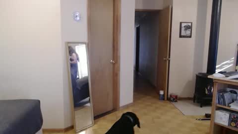 Snapshot of michelle209 chatting on 02-13-25, 03:56 Michelle online show from 02-13-25, 03:56