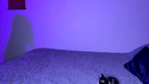 michellepetitte online show from 04-02-26, 01:58