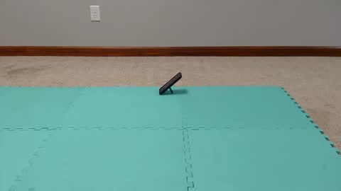 mick_stag online show from 02-24-26, 07:01