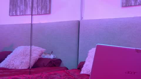 Mickey online show from 11-27-25, 04:25