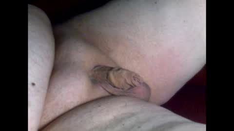 micropimmel online show from 03-19-26, 08:24