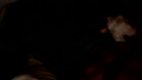 Snapshot of midiin chatting on 12-10-24, 05:39 midiin online show from 12-10-24, 05:39