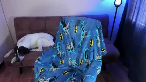 Snapshot of midnight07_ chatting on 09-19-25, 03:34 Blue online show from 09-19-25, 03:34