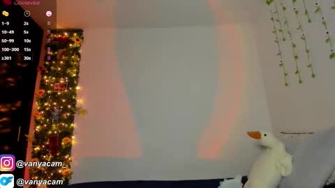 VanyaKlaus online show from 11-12-25, 03:51