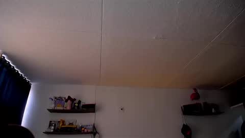 Pola  INDEPENDENT MODEL online show from 03-03-25, 03:42