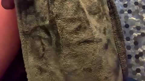 MiguelBlu2 online show from 02-08-26, 03:54