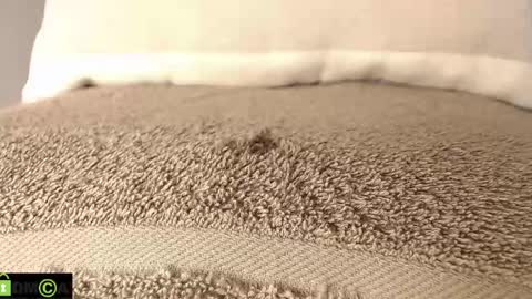 Mikell Williams online show from 03-12-25, 08:52