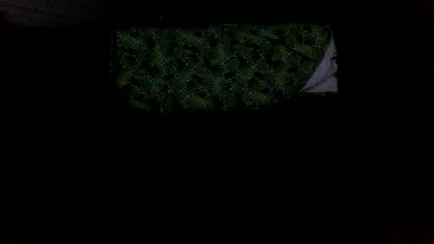 Snapshot of mikellangelo1 chatting on 10-05-25, 01:59 MICHAEL MOTORCYCLE online show from 10-05-25, 01:59