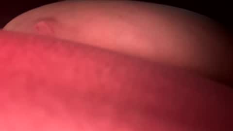 BBW-Gem online show from 05-08-26, 07:52
