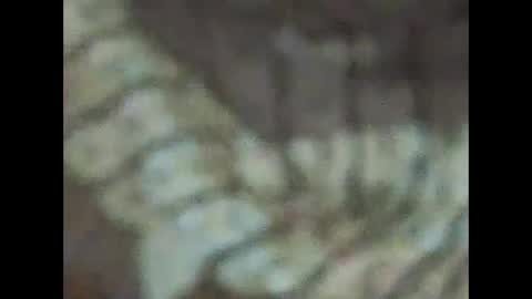 Snapshot of milfpussyeatdeep chatting on 12-31-24, 09:06 milfpussyeatdeep online show from 12-31-24, 09:06