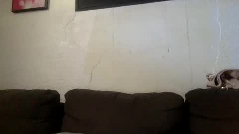BabygirlsFreaky online show from 05-24-26, 03:17